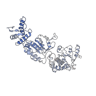 21553_6w6e_F_v1-1
The Mycobacterium tuberculosis ClpB disaggregase hexamer structure with a locally refined ClpB middle domain and a DnaK nucleotide binding domain