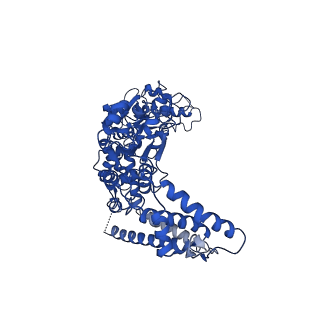 21554_6w6g_B_v1-2
The Mycobacterium tuberculosis ClpB disaggregase hexamer structure in conformation I in the presence of DnaK chaperone and a model substrate