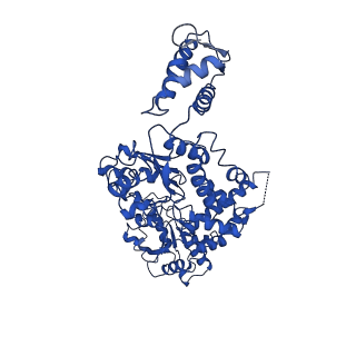 21554_6w6g_D_v1-2
The Mycobacterium tuberculosis ClpB disaggregase hexamer structure in conformation I in the presence of DnaK chaperone and a model substrate