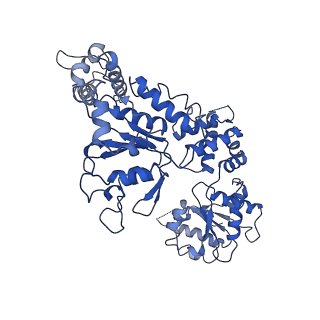 21554_6w6g_E_v1-2
The Mycobacterium tuberculosis ClpB disaggregase hexamer structure in conformation I in the presence of DnaK chaperone and a model substrate