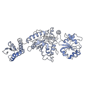 21554_6w6g_F_v1-2
The Mycobacterium tuberculosis ClpB disaggregase hexamer structure in conformation I in the presence of DnaK chaperone and a model substrate