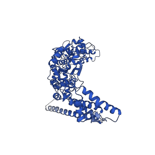 21555_6w6h_B_v1-1
The Mycobacterium tuberculosis ClpB disaggregase hexamer structure in conformation II in the presence of DnaK chaperone and a model substrate