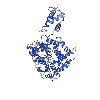 21555_6w6h_D_v1-1
The Mycobacterium tuberculosis ClpB disaggregase hexamer structure in conformation II in the presence of DnaK chaperone and a model substrate