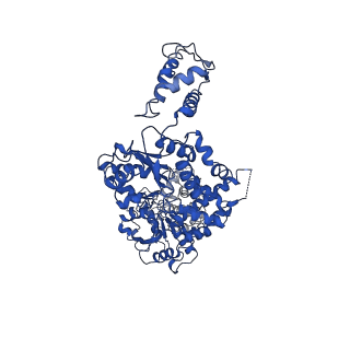 21557_6w6j_D_v1-1
The Mycobacterium tuberculosis ClpB disaggregase hexamer structure with a locally refined N-terminal domain in the presence of DnaK chaperone and a model substrate