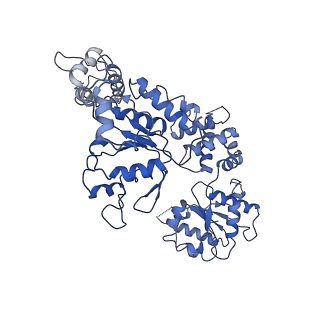 21557_6w6j_E_v1-1
The Mycobacterium tuberculosis ClpB disaggregase hexamer structure with a locally refined N-terminal domain in the presence of DnaK chaperone and a model substrate