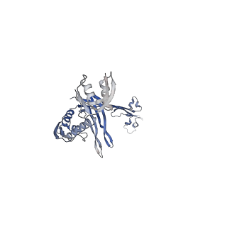21559_6w6m_F_v1-1
Single particle cryoEM structure of V. cholerae Type IV competence pilus secretin PilQ