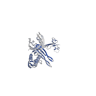 21559_6w6m_G_v1-1
Single particle cryoEM structure of V. cholerae Type IV competence pilus secretin PilQ