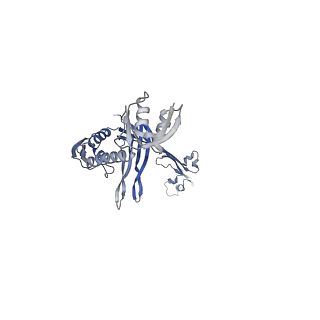 21559_6w6m_H_v1-1
Single particle cryoEM structure of V. cholerae Type IV competence pilus secretin PilQ