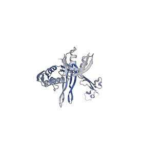 21559_6w6m_H_v1-2
Single particle cryoEM structure of V. cholerae Type IV competence pilus secretin PilQ