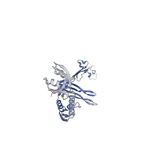 21559_6w6m_K_v1-1
Single particle cryoEM structure of V. cholerae Type IV competence pilus secretin PilQ