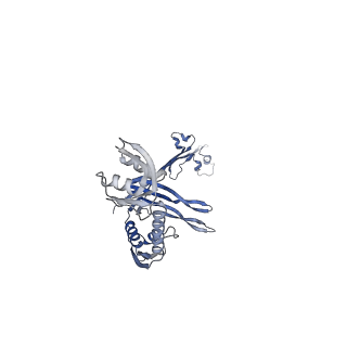 21559_6w6m_K_v1-2
Single particle cryoEM structure of V. cholerae Type IV competence pilus secretin PilQ