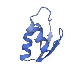 21562_6w6p_0_v1-1
MultiBody Refinement of 70S Ribosome from Enterococcus faecalis