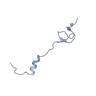 21562_6w6p_2_v1-1
MultiBody Refinement of 70S Ribosome from Enterococcus faecalis