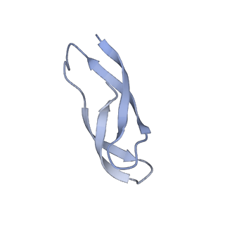 21562_6w6p_3_v1-1
MultiBody Refinement of 70S Ribosome from Enterococcus faecalis