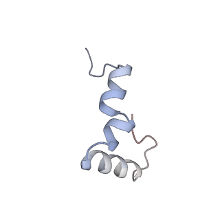 21562_6w6p_4_v1-1
MultiBody Refinement of 70S Ribosome from Enterococcus faecalis