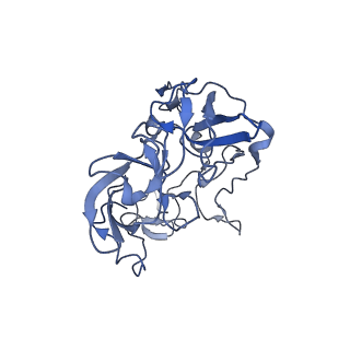 21562_6w6p_C_v1-1
MultiBody Refinement of 70S Ribosome from Enterococcus faecalis