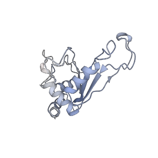 21562_6w6p_F_v1-0
MultiBody Refinement of 70S Ribosome from Enterococcus faecalis