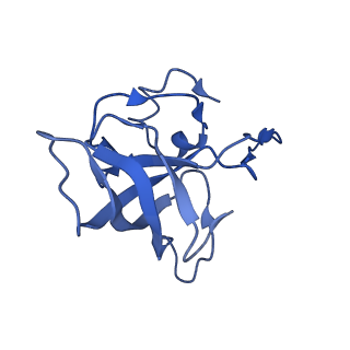 21562_6w6p_L_v1-0
MultiBody Refinement of 70S Ribosome from Enterococcus faecalis