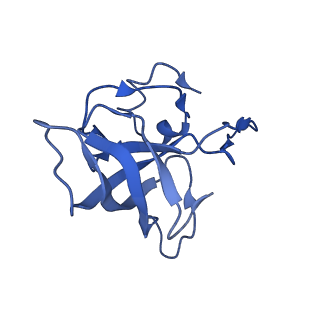 21562_6w6p_L_v1-1
MultiBody Refinement of 70S Ribosome from Enterococcus faecalis