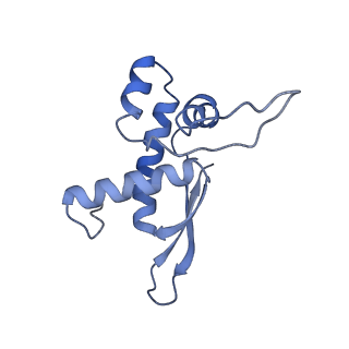 21562_6w6p_O_v1-1
MultiBody Refinement of 70S Ribosome from Enterococcus faecalis