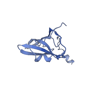 21562_6w6p_Q_v1-0
MultiBody Refinement of 70S Ribosome from Enterococcus faecalis