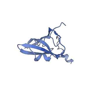 21562_6w6p_Q_v1-1
MultiBody Refinement of 70S Ribosome from Enterococcus faecalis