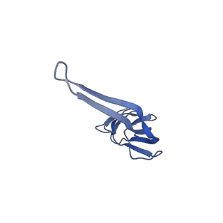 21562_6w6p_S_v1-1
MultiBody Refinement of 70S Ribosome from Enterococcus faecalis