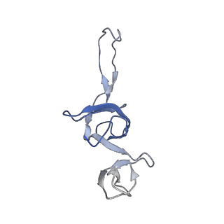 21562_6w6p_V_v1-1
MultiBody Refinement of 70S Ribosome from Enterococcus faecalis