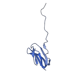 21562_6w6p_X_v1-1
MultiBody Refinement of 70S Ribosome from Enterococcus faecalis