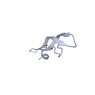 21562_6w6p_Y_v1-1
MultiBody Refinement of 70S Ribosome from Enterococcus faecalis