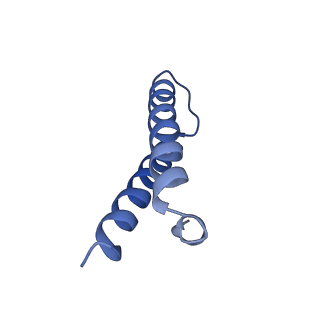 21562_6w6p_Z_v1-1
MultiBody Refinement of 70S Ribosome from Enterococcus faecalis