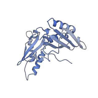 21562_6w6p_c_v1-0
MultiBody Refinement of 70S Ribosome from Enterococcus faecalis
