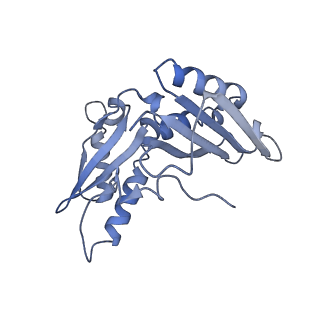 21562_6w6p_c_v1-1
MultiBody Refinement of 70S Ribosome from Enterococcus faecalis