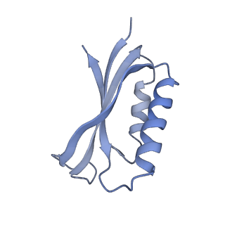 21562_6w6p_f_v1-1
MultiBody Refinement of 70S Ribosome from Enterococcus faecalis