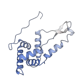 21562_6w6p_g_v1-1
MultiBody Refinement of 70S Ribosome from Enterococcus faecalis