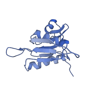 21562_6w6p_h_v1-1
MultiBody Refinement of 70S Ribosome from Enterococcus faecalis