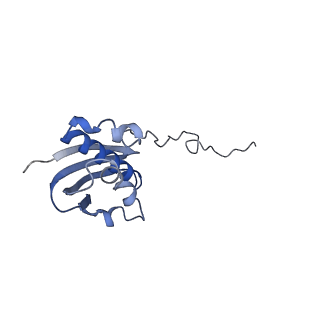 21562_6w6p_i_v1-0
MultiBody Refinement of 70S Ribosome from Enterococcus faecalis