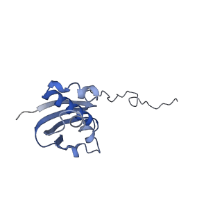 21562_6w6p_i_v1-1
MultiBody Refinement of 70S Ribosome from Enterococcus faecalis