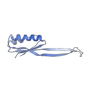 21562_6w6p_j_v1-1
MultiBody Refinement of 70S Ribosome from Enterococcus faecalis