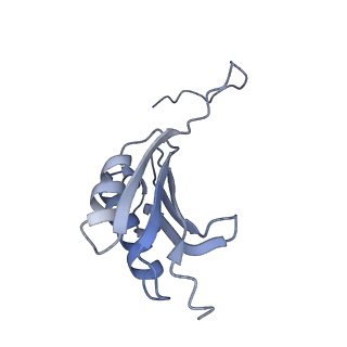 21562_6w6p_k_v1-1
MultiBody Refinement of 70S Ribosome from Enterococcus faecalis