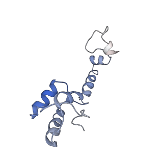 21562_6w6p_m_v1-1
MultiBody Refinement of 70S Ribosome from Enterococcus faecalis