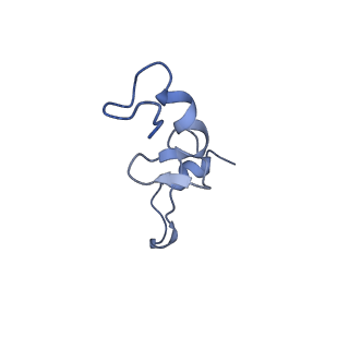 21562_6w6p_n_v1-1
MultiBody Refinement of 70S Ribosome from Enterococcus faecalis