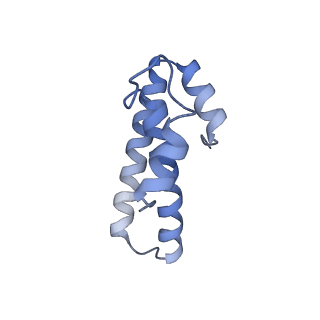 21562_6w6p_o_v1-1
MultiBody Refinement of 70S Ribosome from Enterococcus faecalis