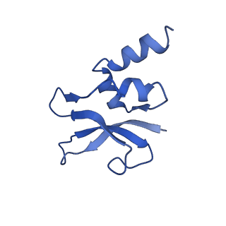 21562_6w6p_p_v1-0
MultiBody Refinement of 70S Ribosome from Enterococcus faecalis