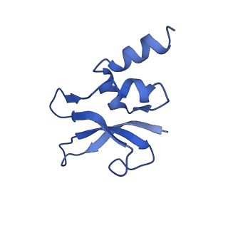 21562_6w6p_p_v1-1
MultiBody Refinement of 70S Ribosome from Enterococcus faecalis