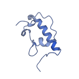 21562_6w6p_r_v1-1
MultiBody Refinement of 70S Ribosome from Enterococcus faecalis