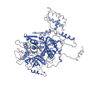 21564_6w6v_B_v1-1
Structure of yeast RNase MRP holoenzyme