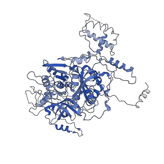 21564_6w6v_B_v1-2
Structure of yeast RNase MRP holoenzyme