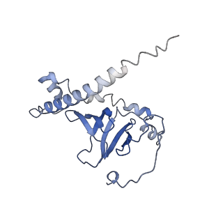 21564_6w6v_D_v1-1
Structure of yeast RNase MRP holoenzyme