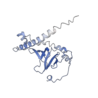 21564_6w6v_D_v1-2
Structure of yeast RNase MRP holoenzyme